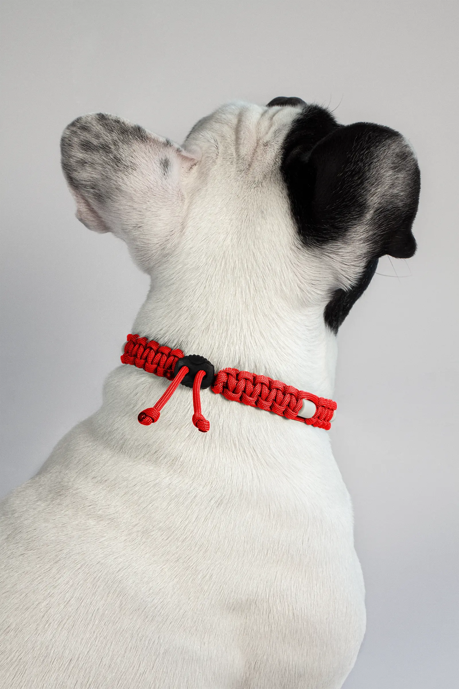 400017_zeckenhalsband_flamingo_detail_3.webp