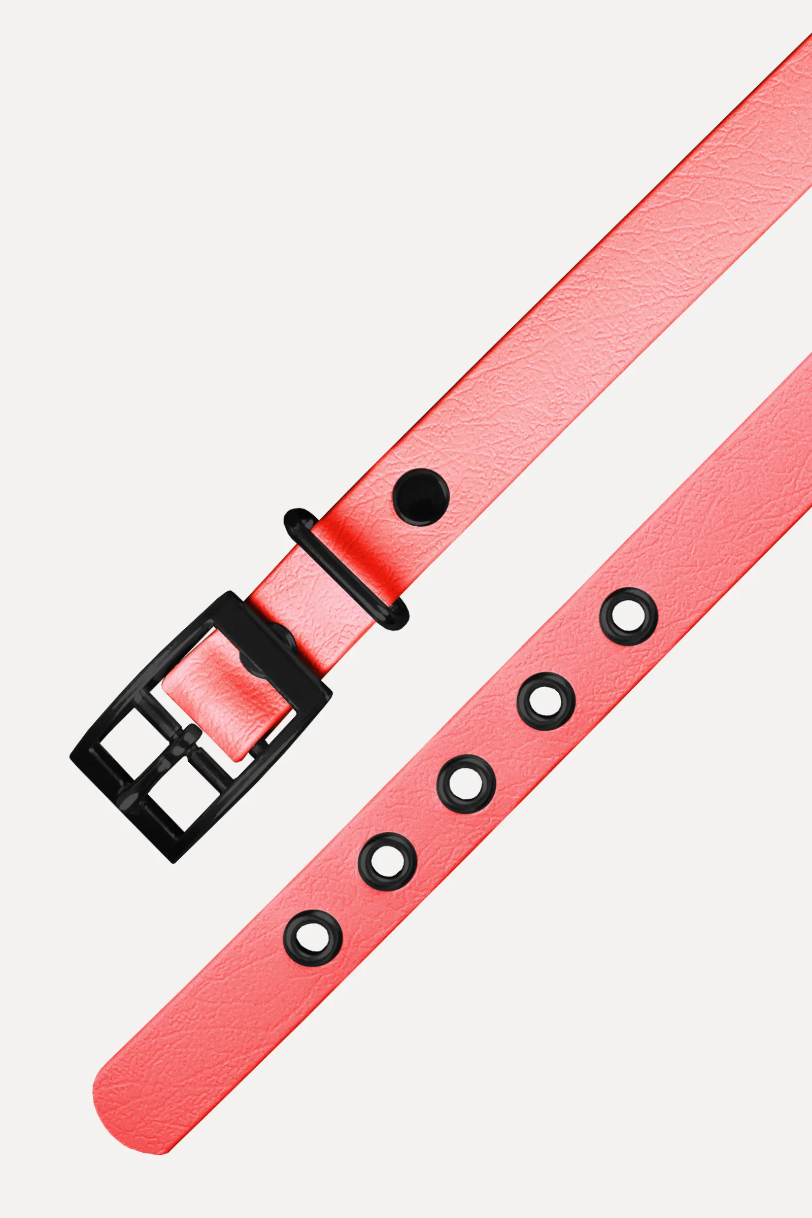801006_biothane_halsband_coral_schwarz_detail1.webp