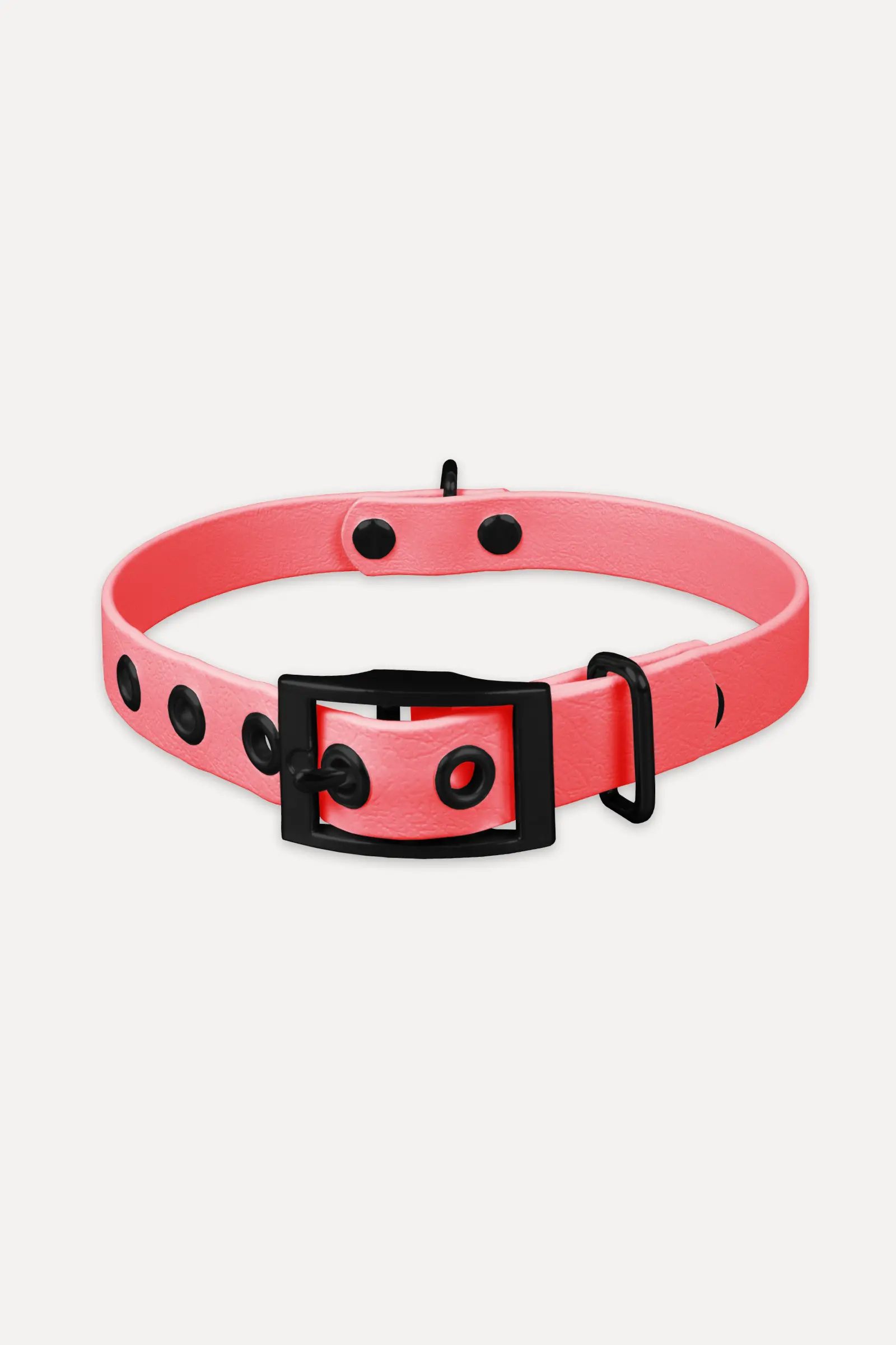 801006_biothane_halsband_coral_schwarz_titel.webp