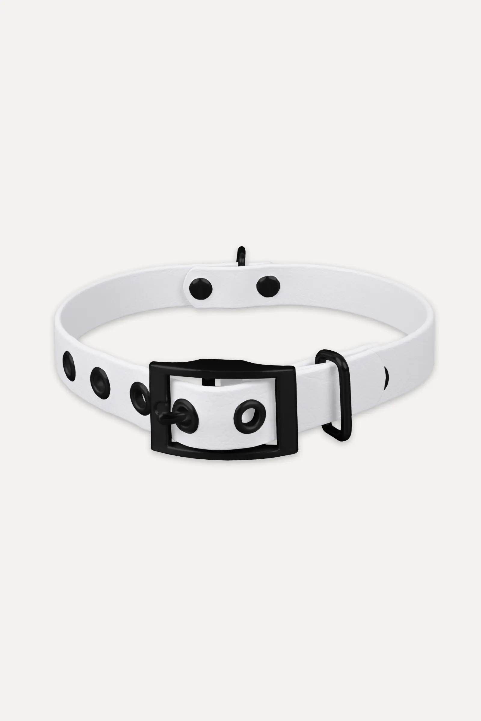 801012_biothane_halsband_weiss_schwarz_titel.webp